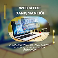 Web Sitesi Danışmanlığı