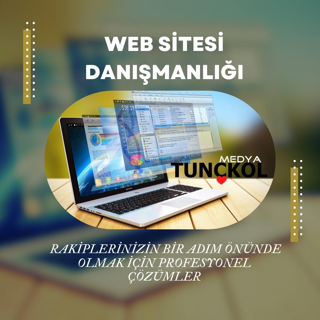 Web Sitesi Danışmanlığı